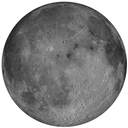 Lasse om du læs det her, god jul å godt nyttår!